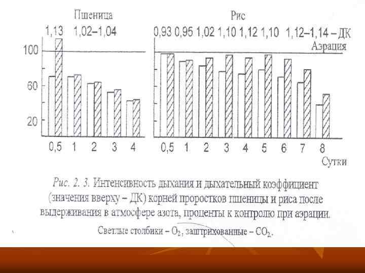 Метаболические приспособления растений к гипо- и аноксии. 