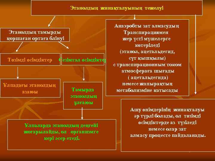 Этанолдың жинақталуының тежелуі Этанолдың тамырды қоршаған ортаға блінуі Төзімді өсімдіктер Ұлпадағы этанолдың азаюы Сезімтал