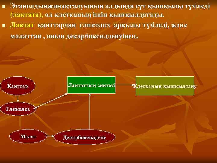 n n Этанолдыңжинақталуының алдында сүт қышқылы түзіледі (лактата), ол клетканың ішін қышқылдатады. Лактат қанттардан