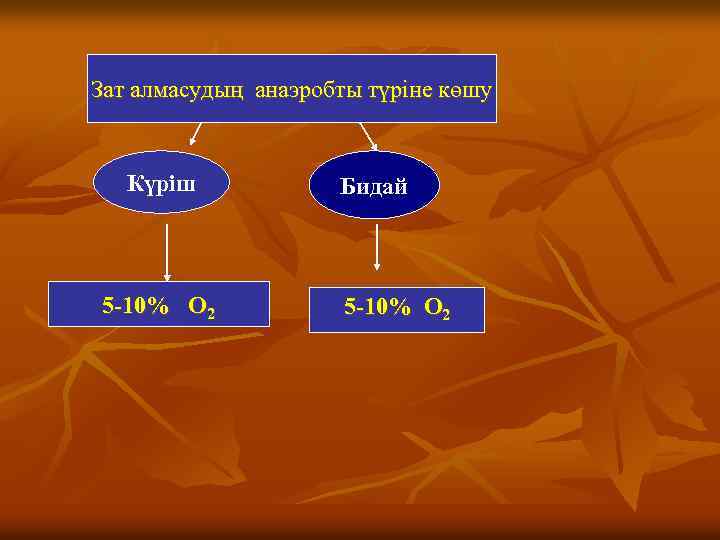 Зат алмасудың анаэробты түріне көшу Күріш 5 -10% О 2 Бидай 5 -10% О