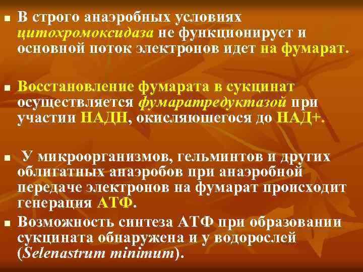 n n В строго анаэробных условиях цитохромоксидаза не функционирует и основной поток электронов идет