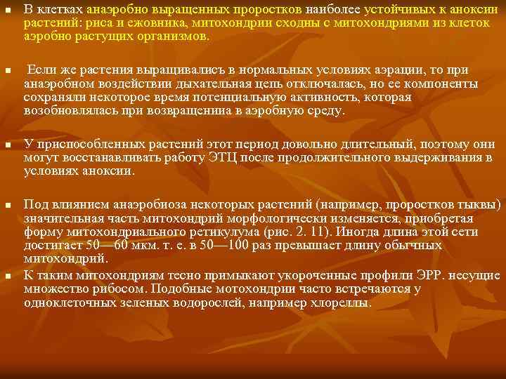 n n n В клетках анаэробно выращенных проростков наиболее устойчивых к аноксии растений: риса