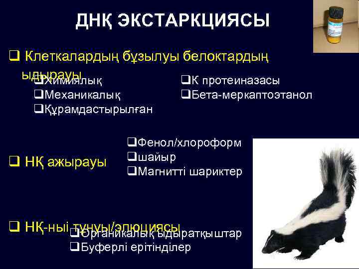 ДНҚ ЭКСТАРКЦИЯСЫ q Клеткалардың бұзылуы белоктардың ыдырауы q. Химиялық q. К протеиназасы q. Механикалық