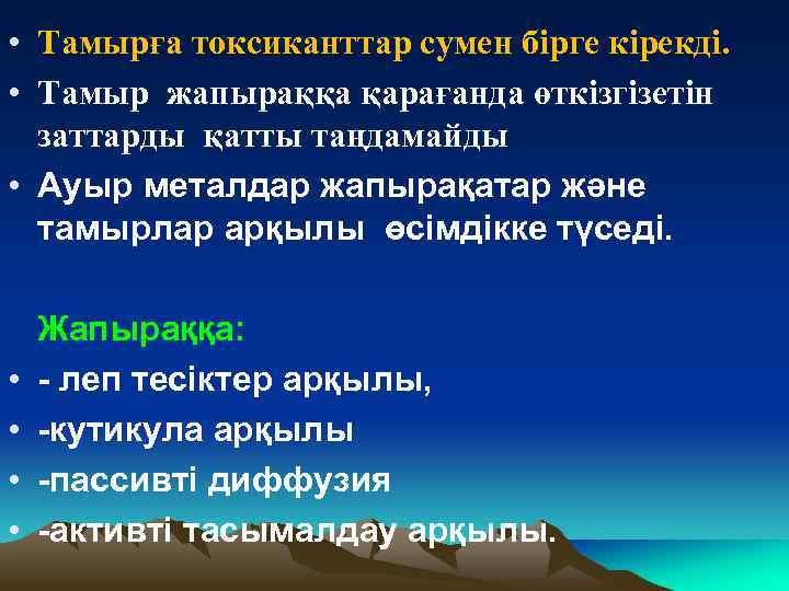  • Тамырға токсиканттар сумен бірге кірекді. • Тамыр жапыраққа қарағанда өткізгізетін заттарды қатты