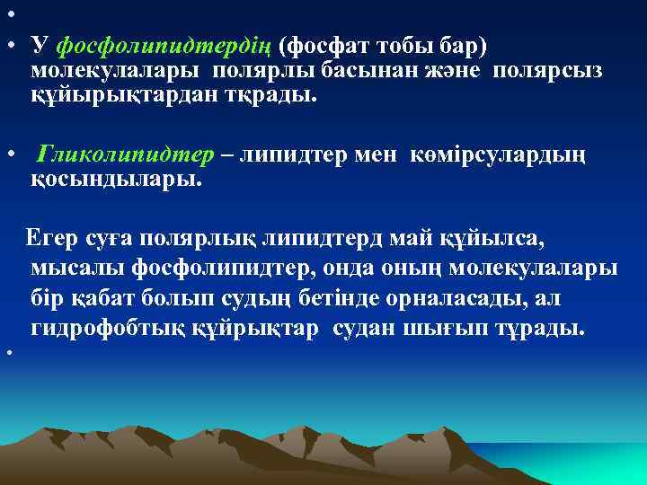  • • У фосфолипидтердің (фосфат тобы бар) молекулалары полярлы басынан және полярсыз құйырықтардан