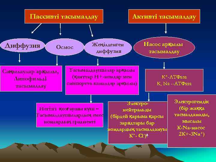 Пассивті тасымалдау Диффузия Осмос Саңылаулар арқылы, Липофильді тасымалдау Активті тасымалдау Жеңілденген диффузия Тасымалдаушылар арқылы