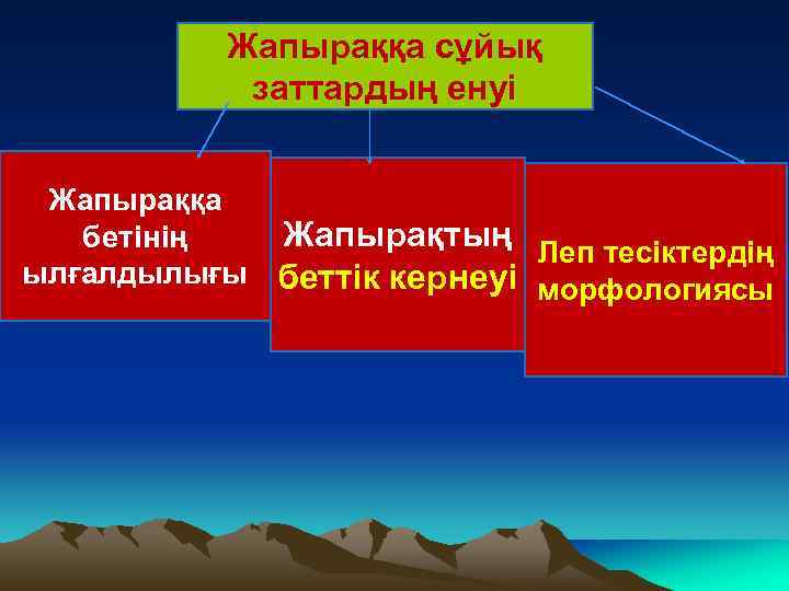 Жапыраққа сұйық заттардың енуі Жапыраққа Жапырақтың Леп тесіктердің бетінің ылғалдылығы беттік кернеуі морфологиясы 