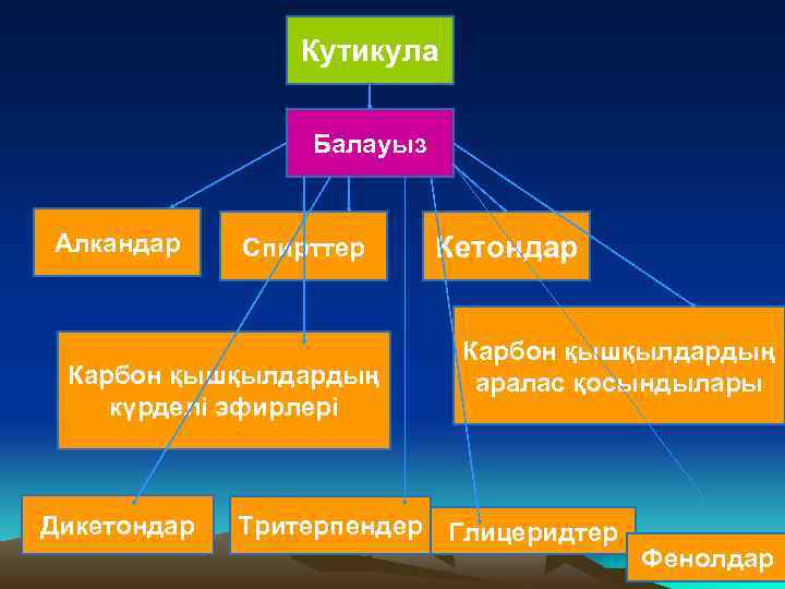 Кутикула Балауыз Алкандар Спирттер Карбон қышқылдардың күрделі эфирлері Дикетондар Карбон қышқылдардың аралас қосындылары Тритерпендер