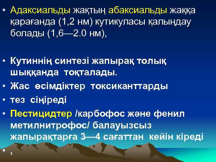  • Адаксиальды жақтың абаксиальды жаққа қарағанда (1, 2 нм) кутикуласы қалыңдау болады (1,
