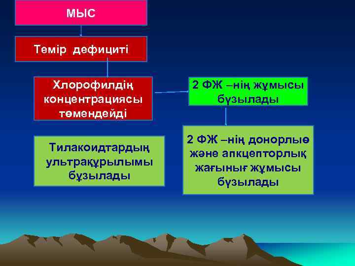 МЫС Темір дефициті Хлорофилдің концентрациясы төмендейді Тилакоидтардың ультрақұрылымы бұзылады 2 ФЖ –нің жұмысы бүзылады