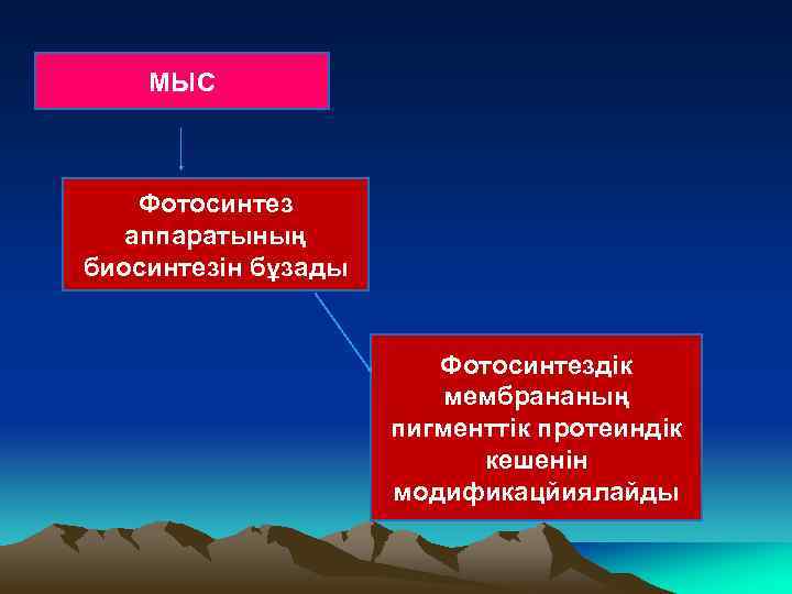 МЫС Фотосинтез аппаратының биосинтезін бұзады Фотосинтездік мембрананың пигменттік протеиндік кешенін модификацйиялайды 