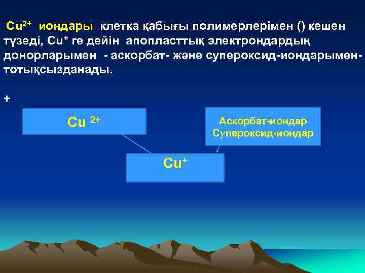 Сu 2+ иондары клетка қабығы полимерлерімен () кешен түзеді, Сu+ ге дейін апопласттық электрондардың