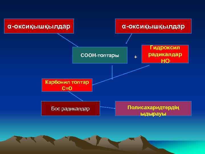 α-оксиқышқылдар СООН-топтары + Гидроксил радикалдар НО. Карбонил топтар С=O Бос радикалдар Полисахаридтердің ыдырауы 