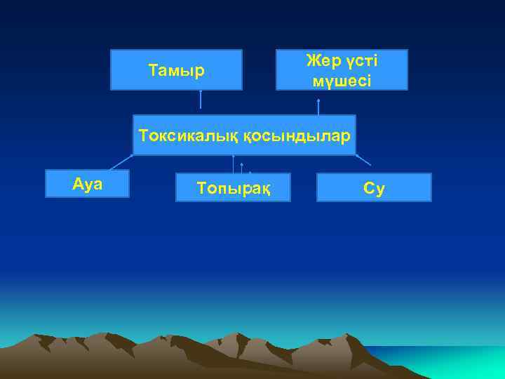 Тамыр Жер үсті мүшесі Токсикалық қосындылар Ауа Топырақ Су 