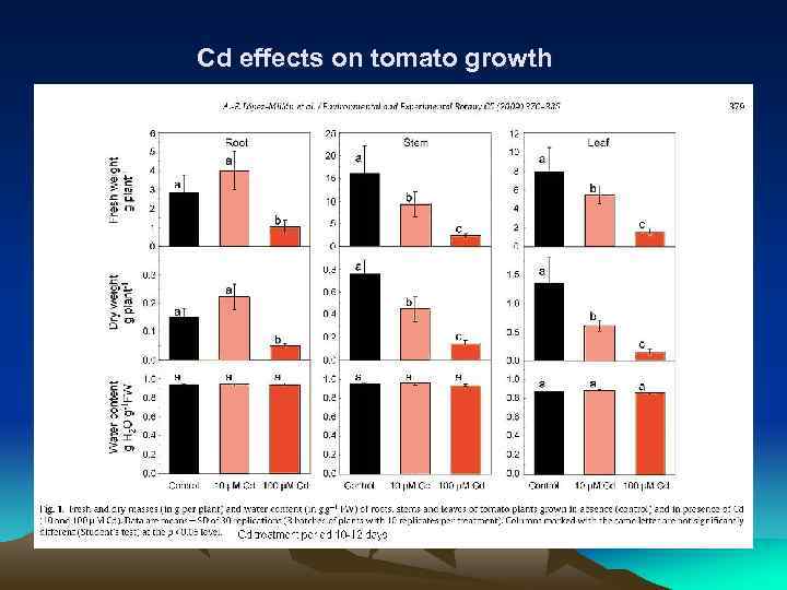 Cd effects on tomato growth 