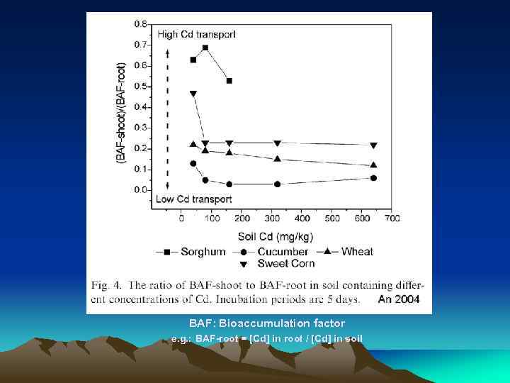 BAF: Bioaccumulation factor e. g. : BAF-root = [Cd] in root / [Cd] in