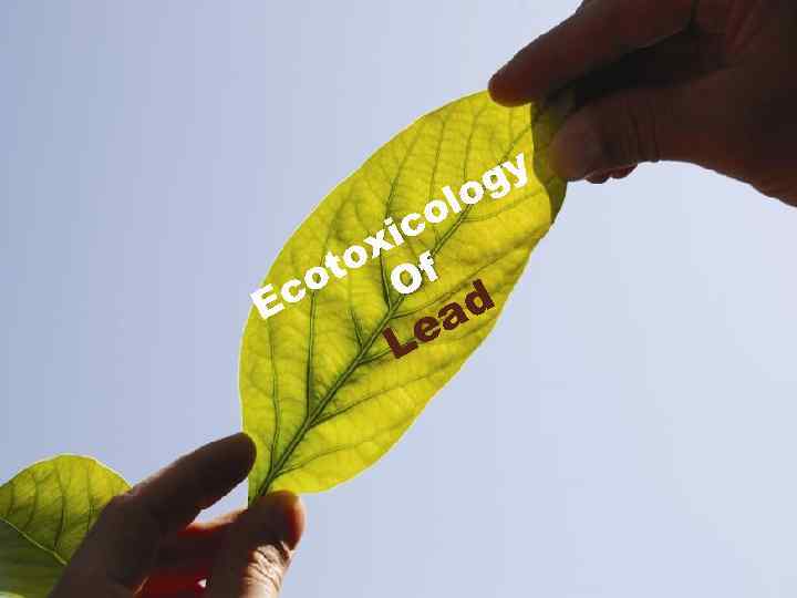 Heavy metals gy lo are o released c into the xi environment by o