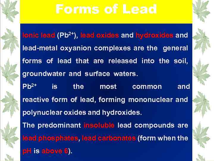 Forms of Lead Ionic lead (Pb 2+), lead oxides and hydroxides and lead-metal oxyanion