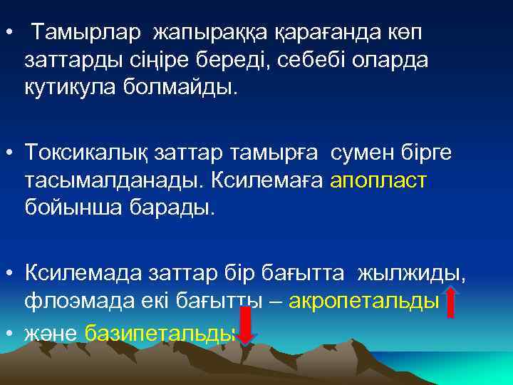  • Тамырлар жапыраққа қарағанда көп заттарды сіңіре береді, себебі оларда кутикула болмайды. •