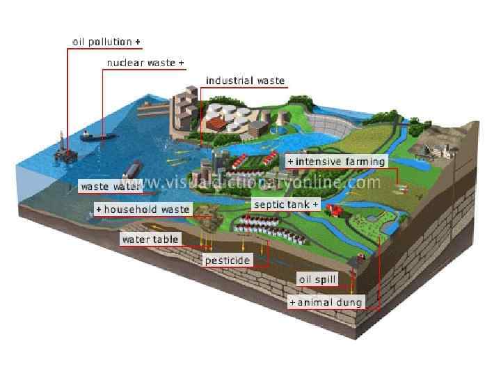 Ауыр металдардың әсері 