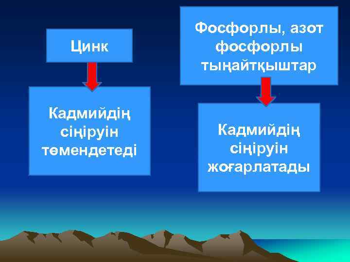 Цинк Кадмийдің сіңіруін төмендетеді Фосфорлы, азот фосфорлы тыңайтқыштар Кадмийдің сіңіруін жоғарлатады 