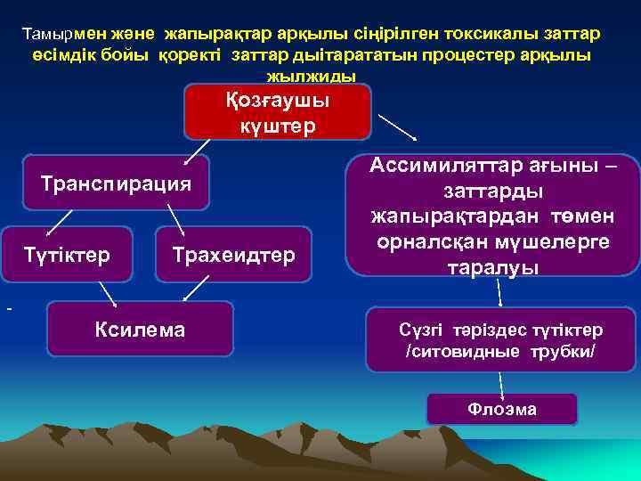 Тамырмен және жапырақтар арқылы сіңірілген токсикалы заттар өсімдік бойы қоректі заттар дыітарататын процестер арқылы