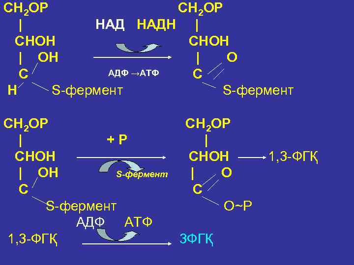 СН 2 ОР СН 2 ОР | НАДН | СНОН | ОН | О