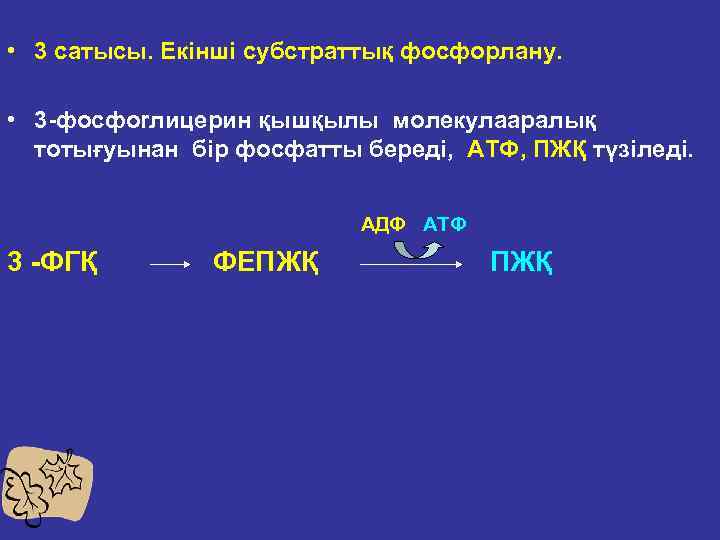  • 3 сатысы. Екінші субстраттық фосфорлану. • 3 фосфorлицерин қышқылы молекулааралық тотығуынан бір