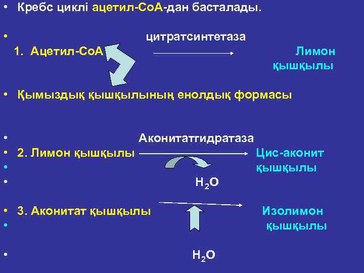  • Кребс циклі ацетил Со. А дан басталады. • цитратсинтетаза 1. Ацетил Со.