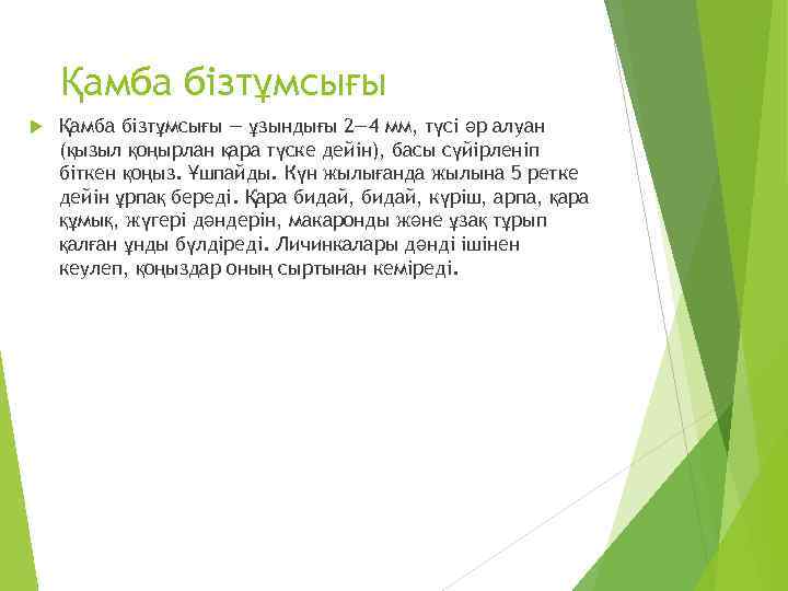Қамба бізтұмсығы — ұзындығы 2— 4 мм, түсі әр алуан (қызыл қоңырлан қара түске