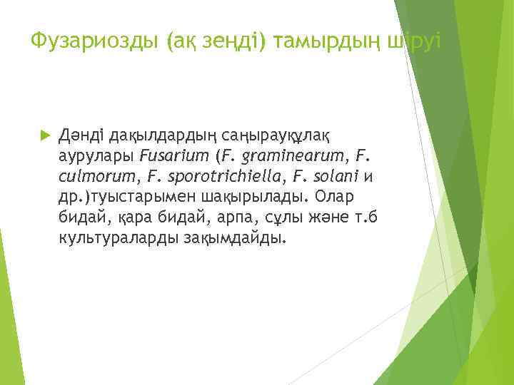 Фузариозды (ақ зеңді) тамырдың шіруі Дәнді дақылдардың саңырауқұлақ аурулары Fusarium (F. graminearum, F. culmorum,