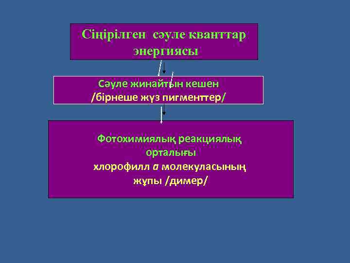 Сіңірілген сәуле кванттар энергиясы Сәуле жинайтын кешен /бірнеше жүз пигменттер/ Фотохимиялық реакциялық орталығы хлорофилл