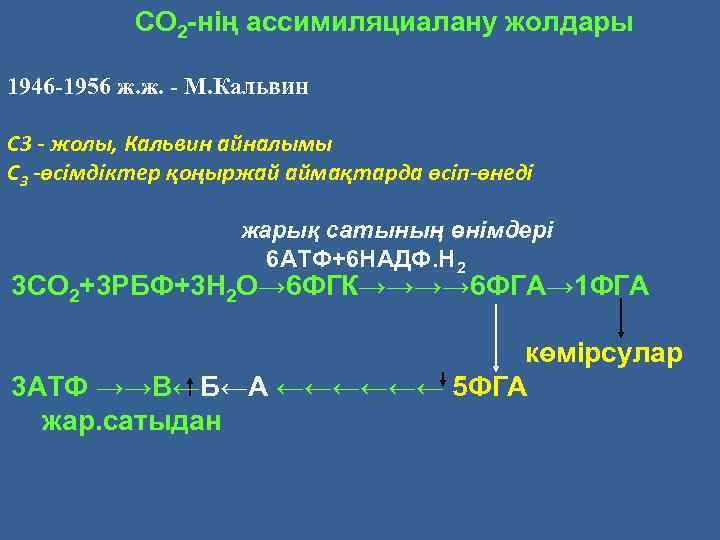 СО 2 -нің ассимиляциалану жолдары 1946 -1956 ж. ж. - М. Кальвин С 3