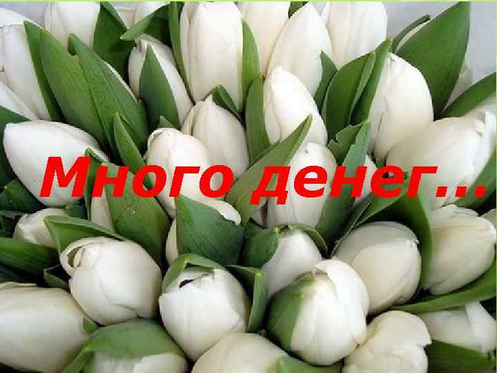 Много денег… 