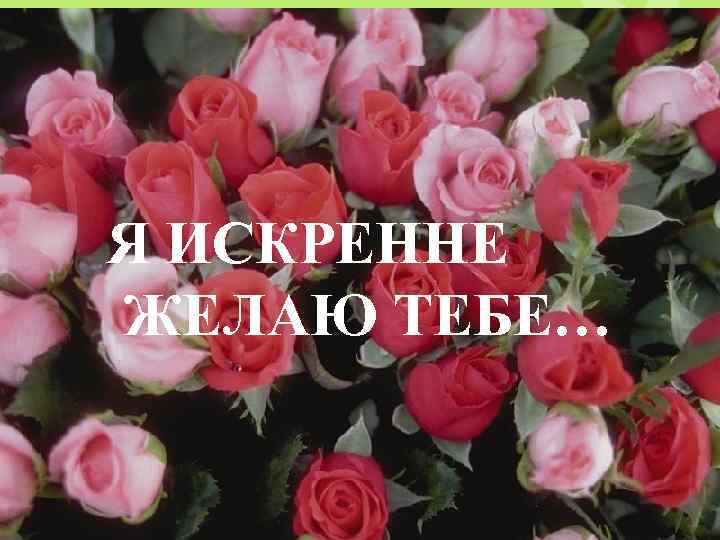 Я ИСКРЕННЕ ЖЕЛАЮ ТЕБЕ… 