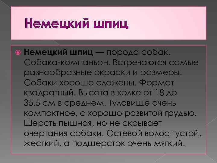 Немецкий шпиц — порода собак. Собака-компаньон. Встречаются самые разнообразные окраски и размеры. Собаки хорошо