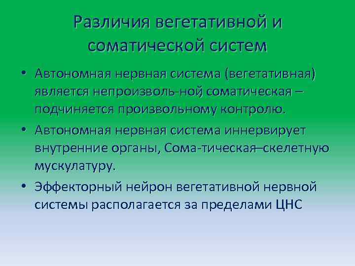Различия вегетативной и соматической систем • Автономная нервная система (вегетативная) является непроизволь ной соматическая