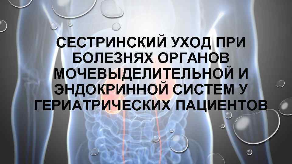 СЕСТРИНСКИЙ УХОД ПРИ БОЛЕЗНЯХ ОРГАНОВ МОЧЕВЫДЕЛИТЕЛЬНОЙ И ЭНДОКРИННОЙ СИСТЕМ У ГЕРИАТРИЧЕСКИХ ПАЦИЕНТОВ 