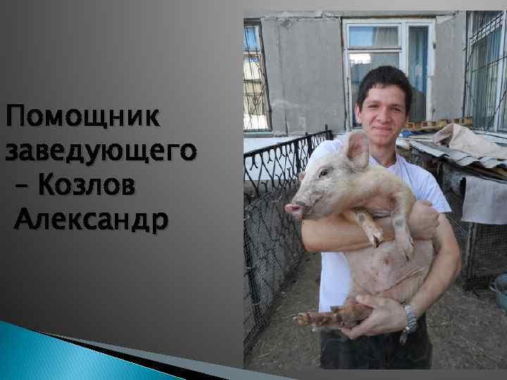 Помощник заведующего – Козлов Александр 