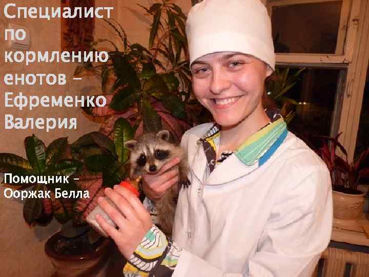 Специалист по кормлению енотов – Ефременко Валерия Помощник – Ооржак Белла 