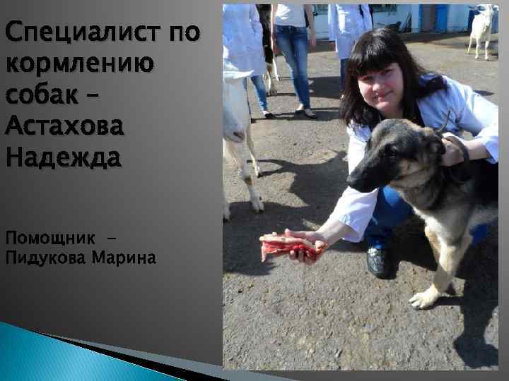 Специалист по кормлению собак – Астахова Надежда Помощник Пидукова Марина 