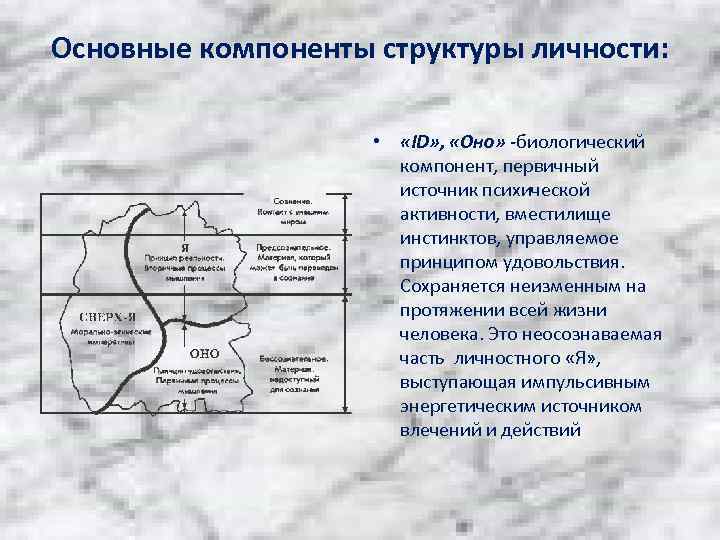 Основные компоненты структуры личности: • «ID» , «Оно» -биологический компонент, первичный источник психической активности,