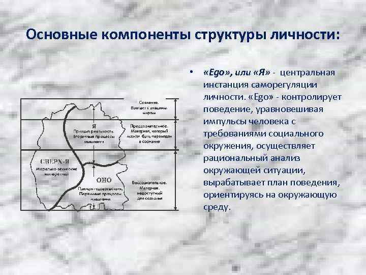 Основные компоненты структуры личности: • «Ego» , или «Я» - центральная инстанция саморегуляции личности.