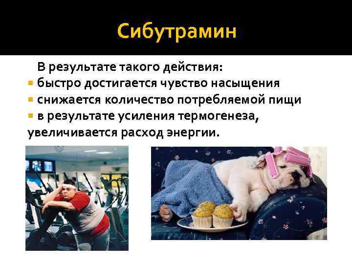 Сибутрамин В результате такого действия: быстро достигается чувство насыщения снижается количество потребляемой пищи в