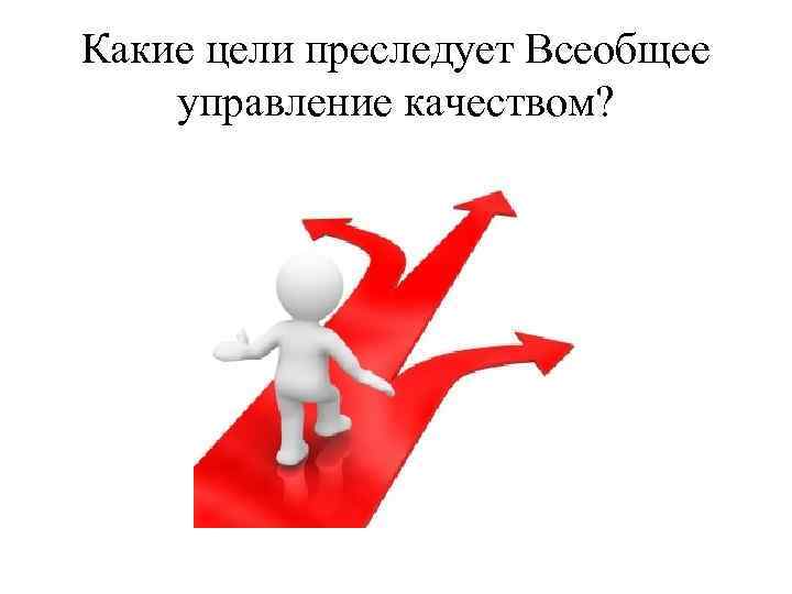 Какие цели преследует Всеобщее управление качеством? 