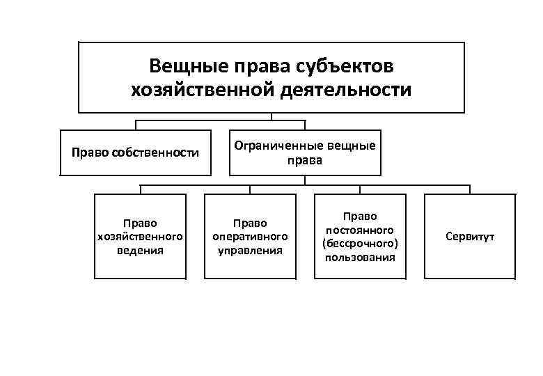 Вещные права субъектов хозяйственной деятельности Право собственности Право хозяйственного ведения Ограниченные вещные права Право