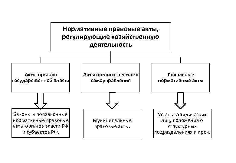 Проекты муниципальных правовых актов могут вноситься