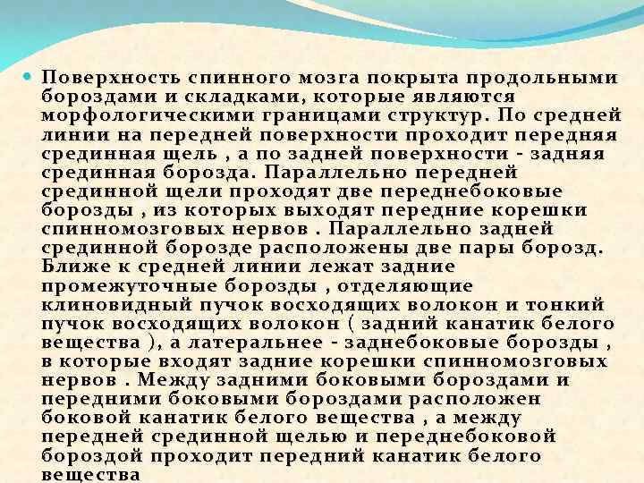  Поверхность спинного мозга покрыта продольными бороздами и складками, которые являются морфологическими границами структур.