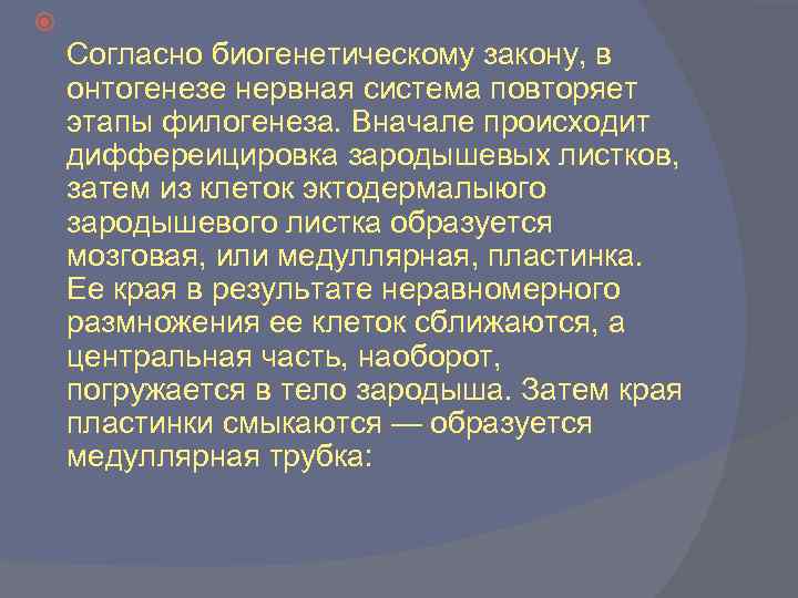  Согласно биогенетическому закону, в онтогенезе нервная система повторяет этапы филогенеза. Вначале происходит диффереицировка