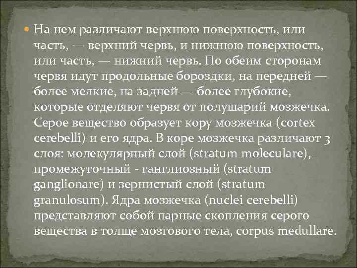  На нем различают верхнюю поверхность, или часть, — верхний червь, и нижнюю поверхность,